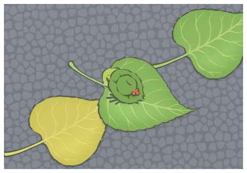 網(wǎng)友稱吃火鍋遇劇毒藍(lán)環(huán)章魚